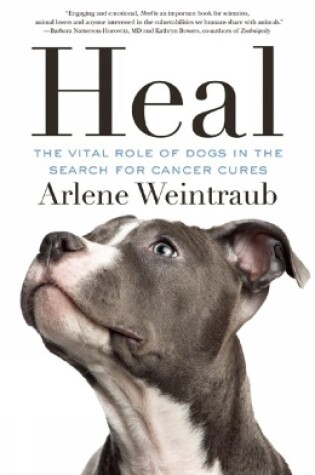 Cover of Heal