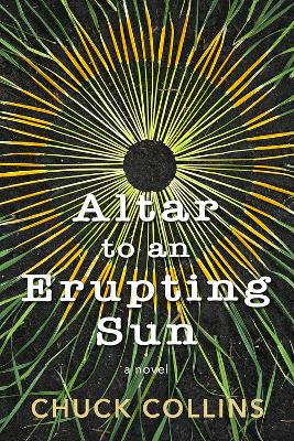 Book cover for Altar to an Erupting Sun