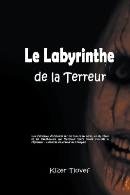 Book cover for Le Labyrinthe de la Terreur