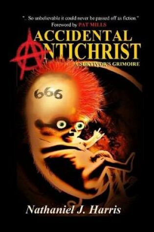 Cover of Accidental Antichrist