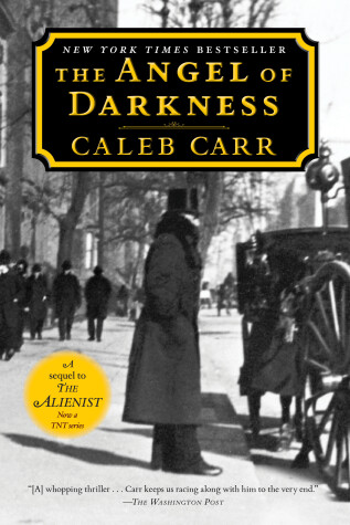 Book cover for The Angel of Darkness: Book 2 of the Alienist