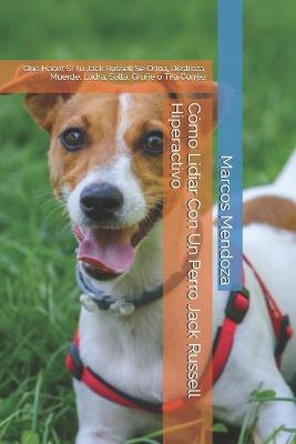 Book cover for Como Lidiar Con Un Perro Jack Russell Hiperactivo