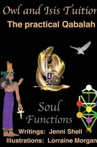 Cover of Soul Functions