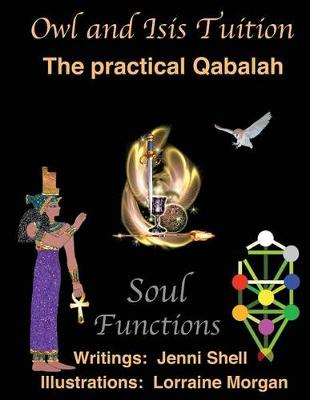 Cover of Soul Functions