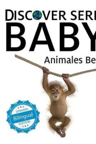 Cover of Animales Bebes/ Baby Animals