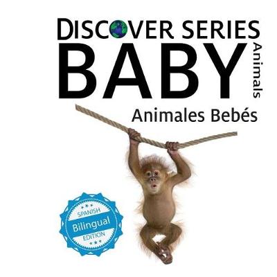 Book cover for Animales Bebes/ Baby Animals