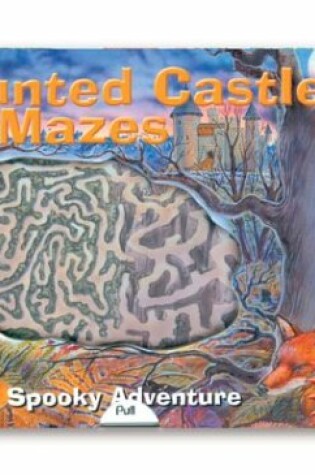 Cover of Amazing Magic Mazes: Haunted Castle Mazes