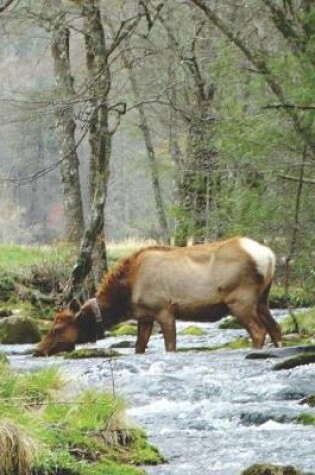 Cover of Pretty Female Elk Drinking in a Smoky Mountain Park Stream Wide-ruled School Composition Lined Notebook