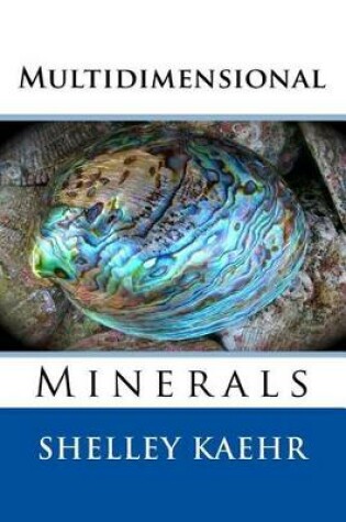 Cover of Multidimensional Minerals