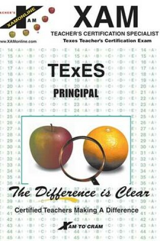 Cover of Instant Texes Principal