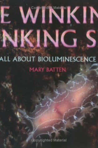 Cover of Winking, Blinking Sea