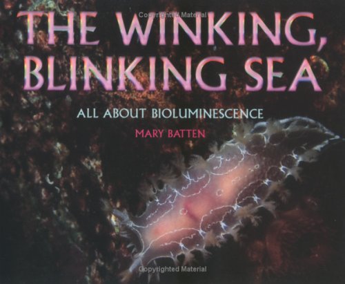 Book cover for Winking, Blinking Sea