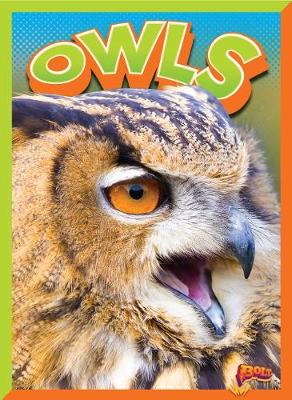 Cover of Owls