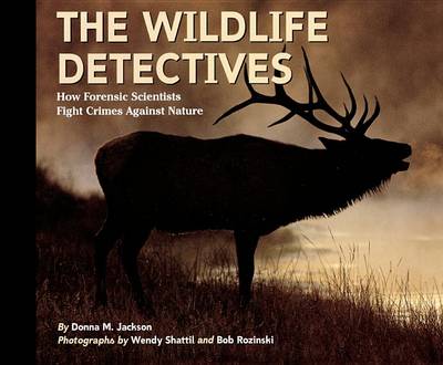 Book cover for Wildlife Detectives