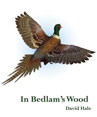 Book cover for In Bedlam's Wood