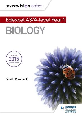 Book cover for My Revision Notes: Edexcel AS Biology B