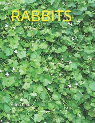 Book cover for Rabbits