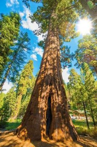 Cover of Among the Giant Sequoias (Sequoiadendron Giganteum) Tree Journal