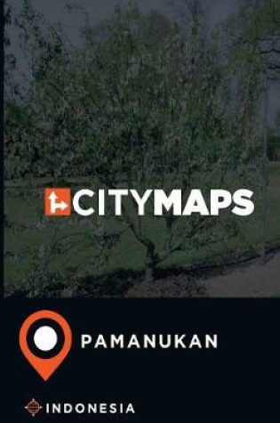 Cover of City Maps Pamanukan Indonesia