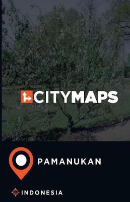 Book cover for City Maps Pamanukan Indonesia