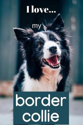 Book cover for I Love my Border Collie