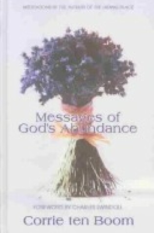 Cover of Messages of Gods Abundance