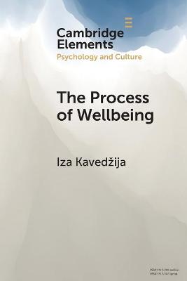 Book cover for The Process of Wellbeing