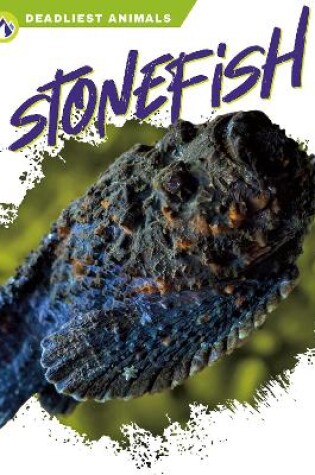 Cover of Stonefish