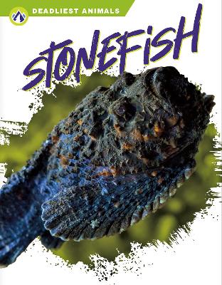 Book cover for Deadliest Animals: Stonefish