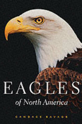 Cover of Eagles of North America