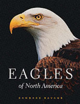 Book cover for Eagles of North America