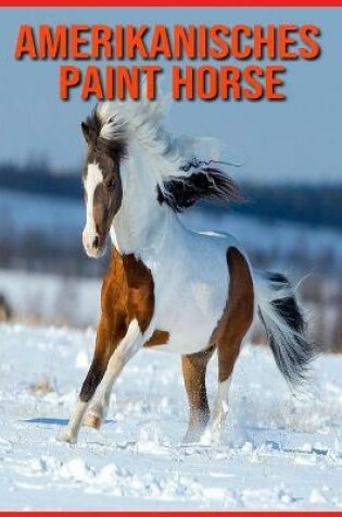 Cover of Amerikanisches Paint Horse