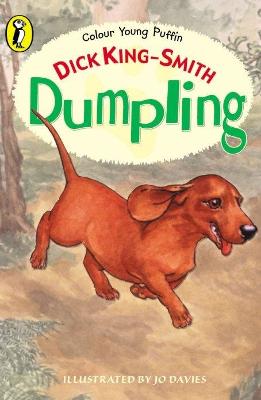 Book cover for Dumpling