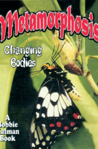 Cover of Metamorphosis