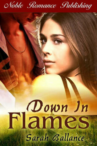 Cover of Down in Flames