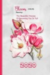 Book cover for Pink Magnolia Flowers