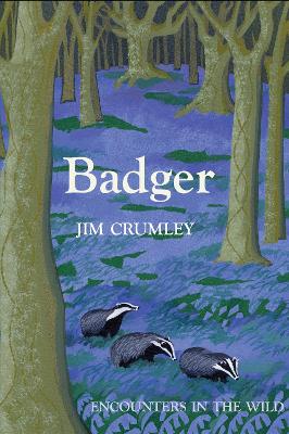 Book cover for Badger