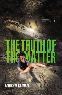 Book cover for The Truth of the Matter