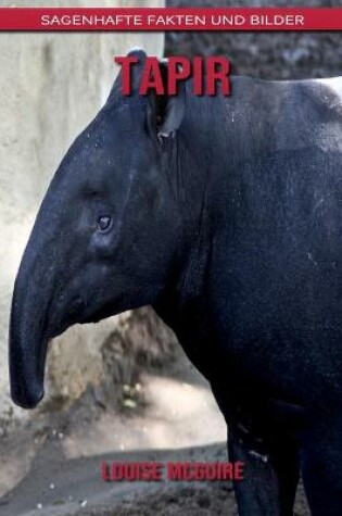 Cover of Tapir