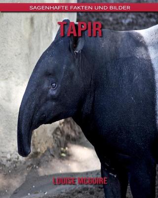 Book cover for Tapir