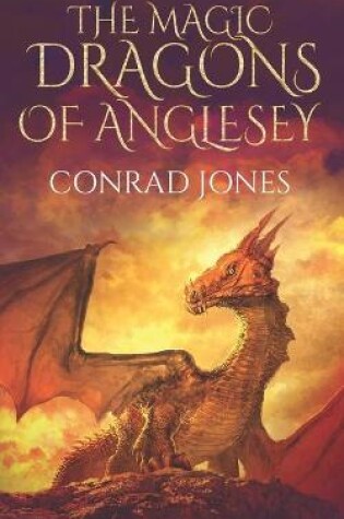 Cover of The Magic Dragons of Anglesey