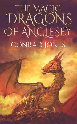Book cover for The Magic Dragons of Anglesey