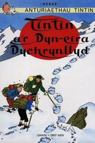 Cover of Cyfres Anturiaethau Tintin: Tintin a'r Dyn Eira Dychrynllyd