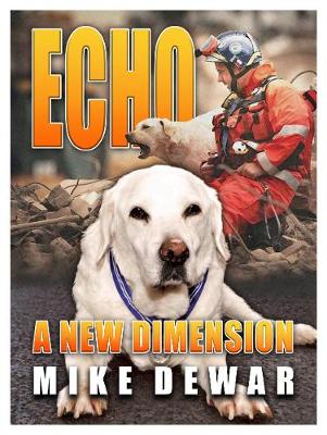 Book cover for Echo