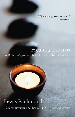 Book cover for Healing Lazarus