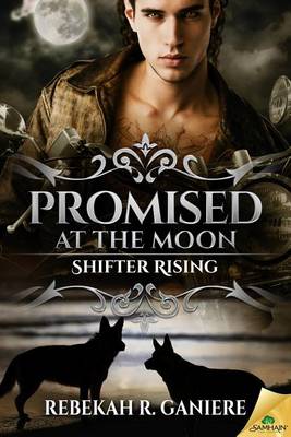 Book cover for Promised at the Moon