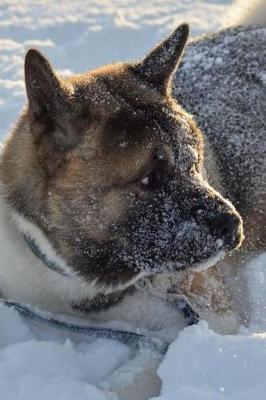 Book cover for Akita Dog in the Snow Journal