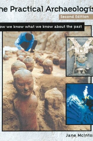 Cover of The Practical Archaeologist
