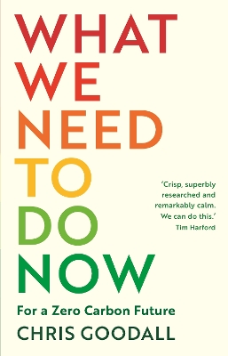 Book cover for What We Need to Do Now