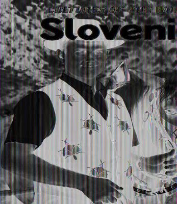 Book cover for Slovenia